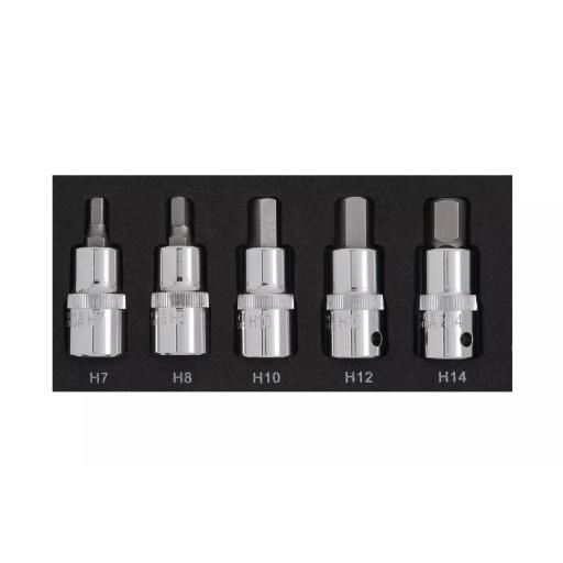 5 PCE 1/2" Hex Bit Set (H7-H14) (EVA FOAM)