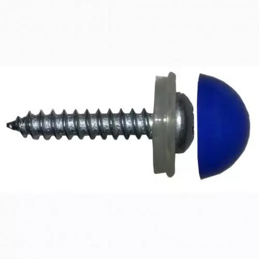 Domed Number Plate Screws (Blue) (Pack of 100 pcs)