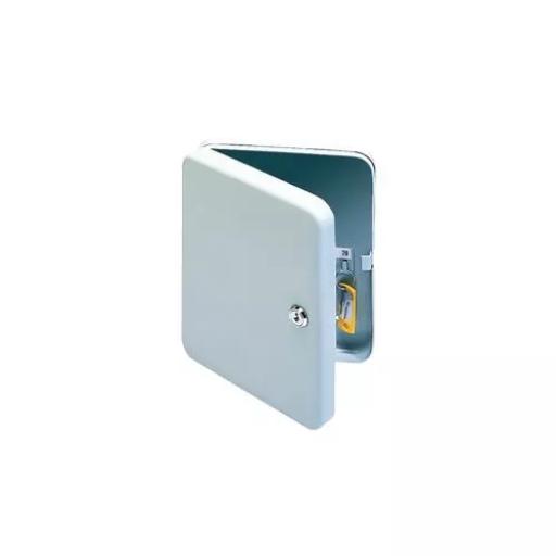 Lockable Key Cabinet (20 hooks)(Pack of 1)