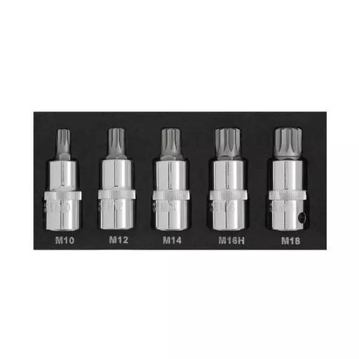 5 PCE 1/2" Spline Bit Set (M10-M18) (EVA FOAM)