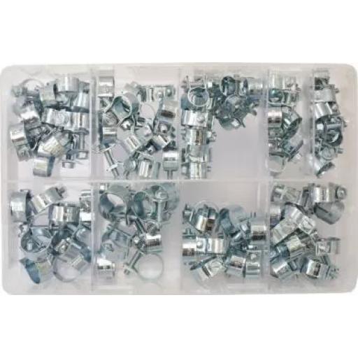 Assorted Mini Hose Clips (7-17mm) (110 Pieces )