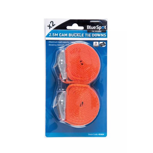 2 Pack Cam Buckle Tie Downs (25mm x 2.5m/8ft)