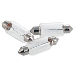 FESTOON BULBS.jpg